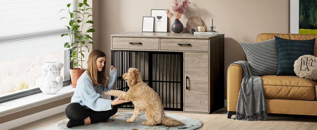Stylish and Functional: When Dog Crates Meet Furniture