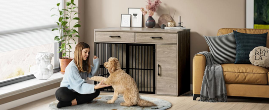 Stylish and Functional: When Dog Crates Meet Furniture