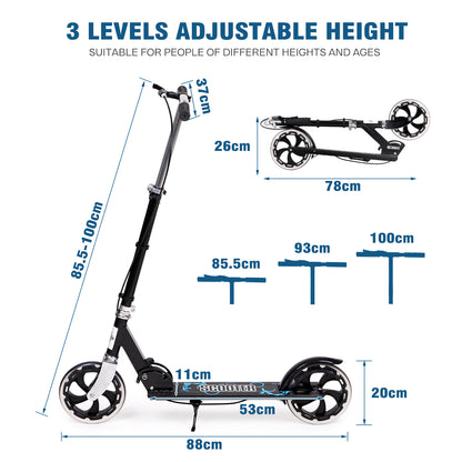 Foldable Kick Scooter with Dual Brakes