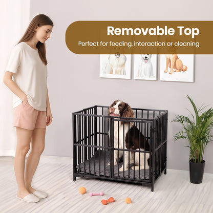 Foldable Dog Cage with Plush Mat